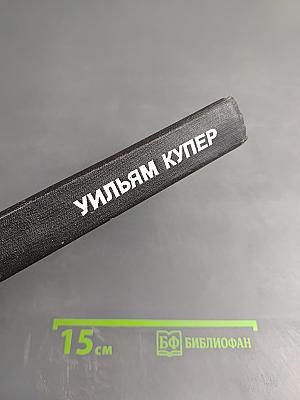 Сцены провинциальной жизни. Не один ты