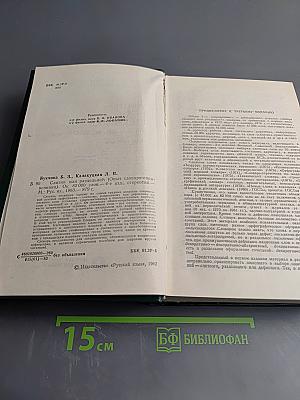 Слитно или раздельно? Опыт словаря-справочника