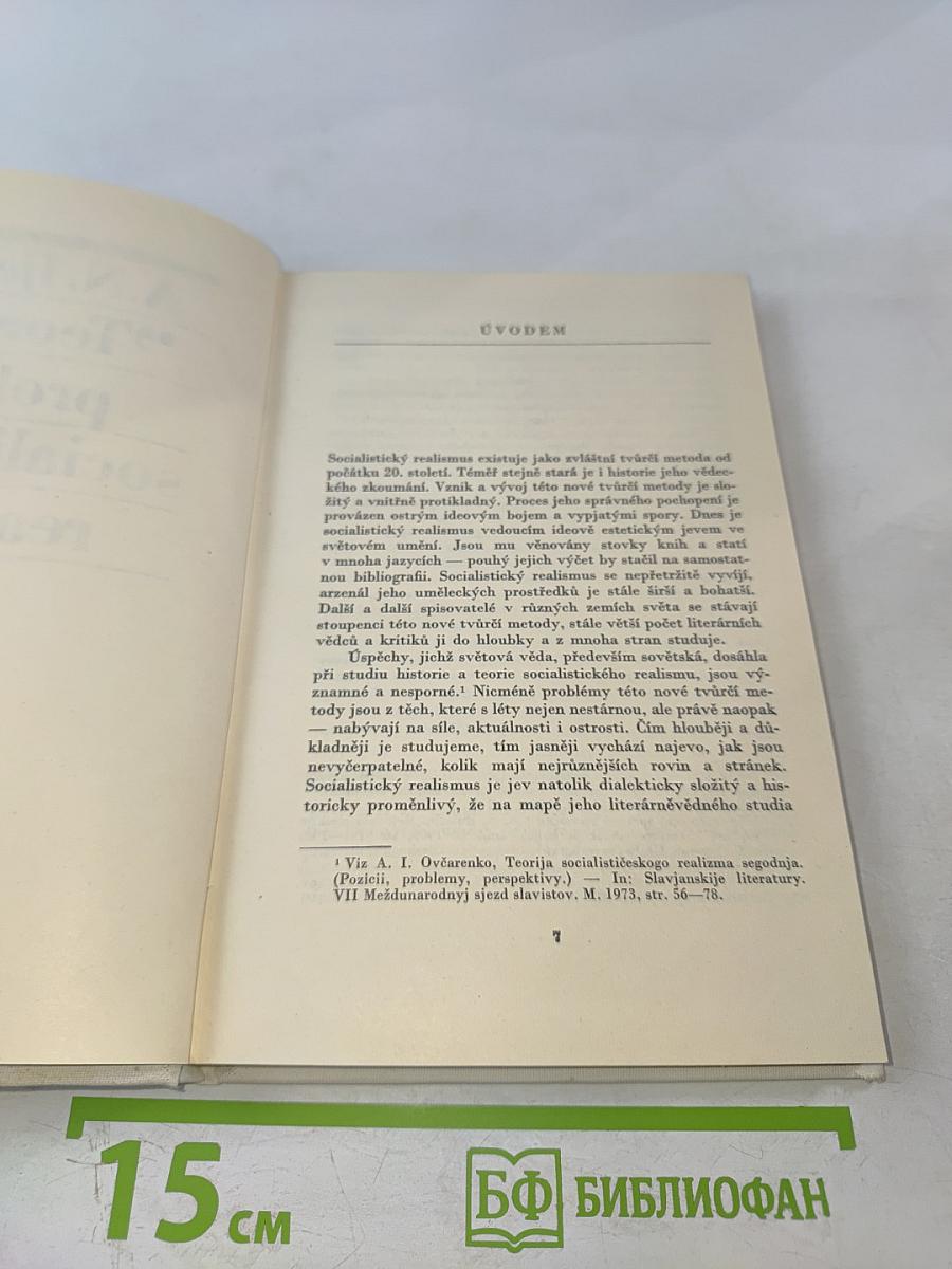 Teoretické problémy socialistického realismu