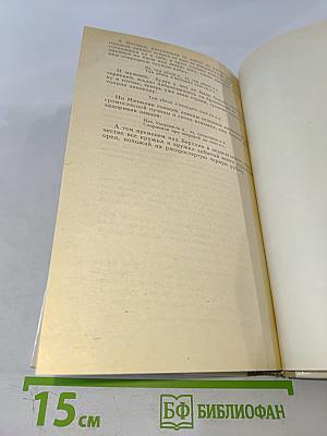 Усвятские шлемоносцы