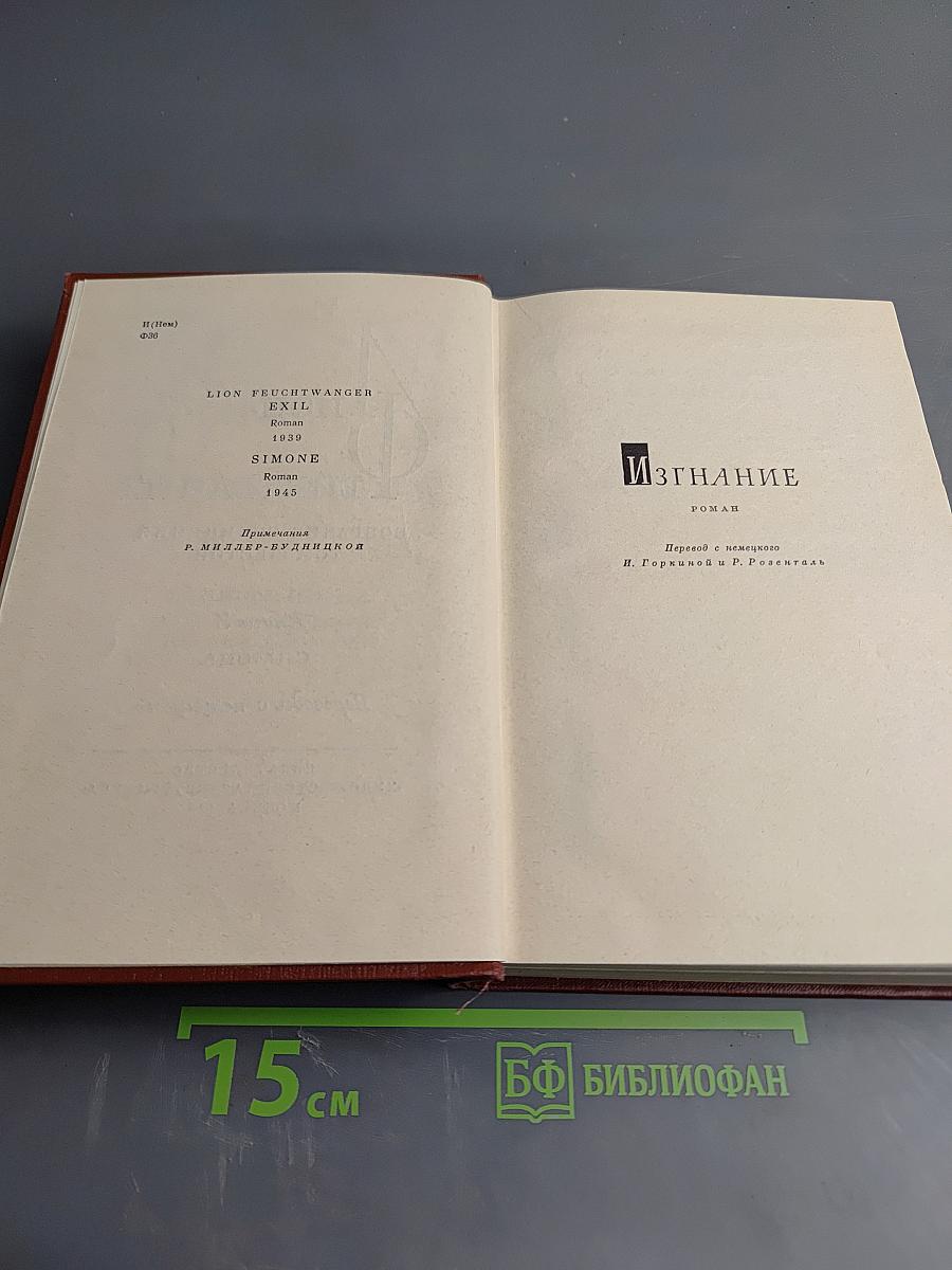 Изгнание. Симона