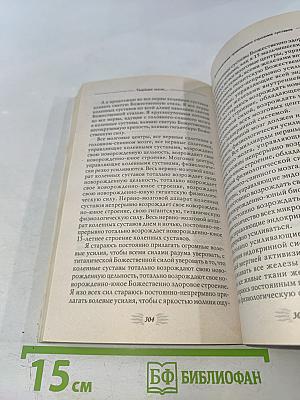 Мысли, укрепляющие позвоночник и весь опорно-двигательный аппарат