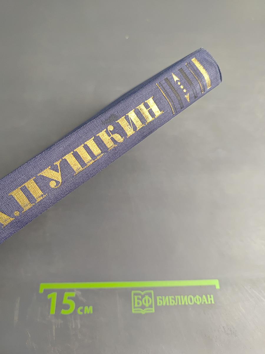 Полное собрание сочинений. Том 6: Автобиографическая проза