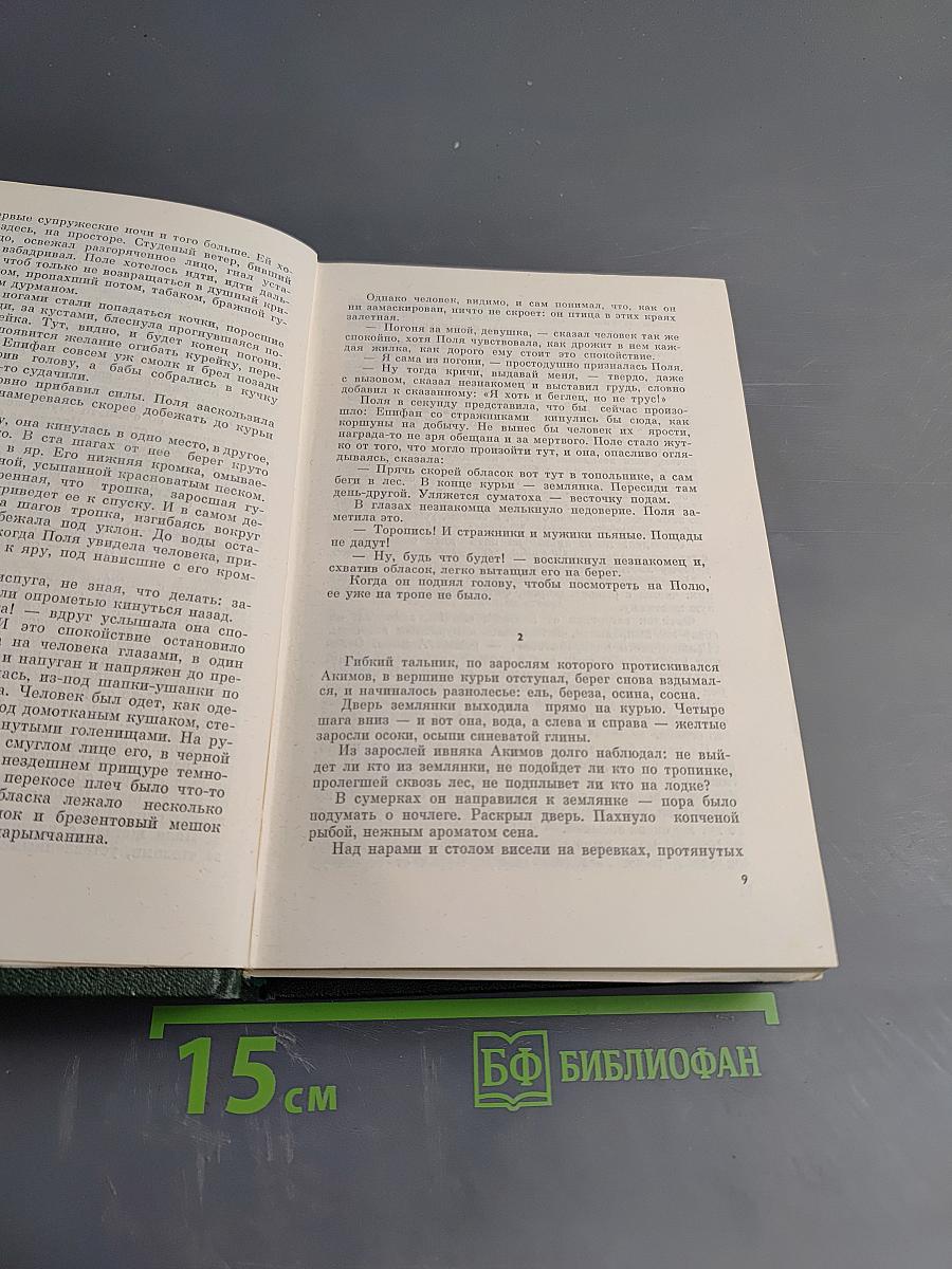 Сибирь. Роман в двух книгах. Книга первая