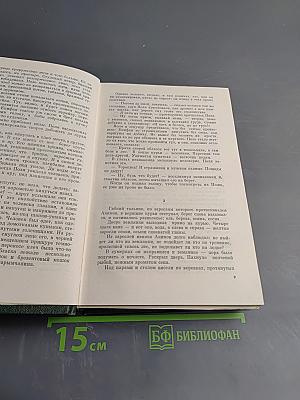 Сибирь. Роман в двух книгах. Книга первая