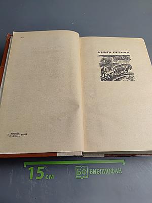 Поднятая целина. Роман в двух книгах. Книга первая