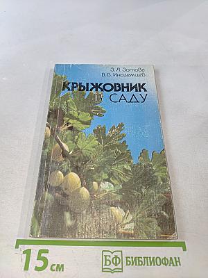 Крыжовник в саду
