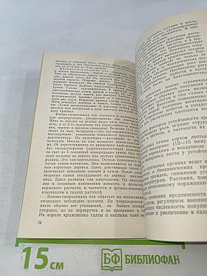 Крыжовник в саду