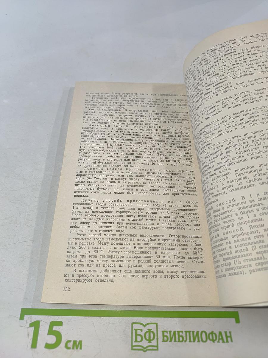 Крыжовник в саду