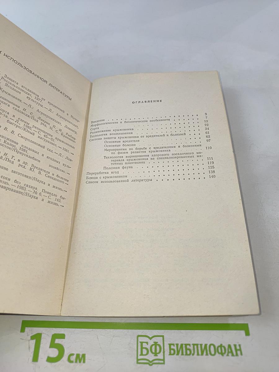 Крыжовник в саду