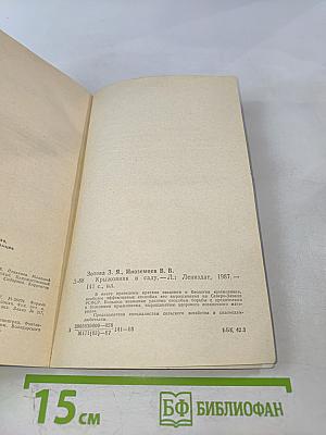 Крыжовник в саду