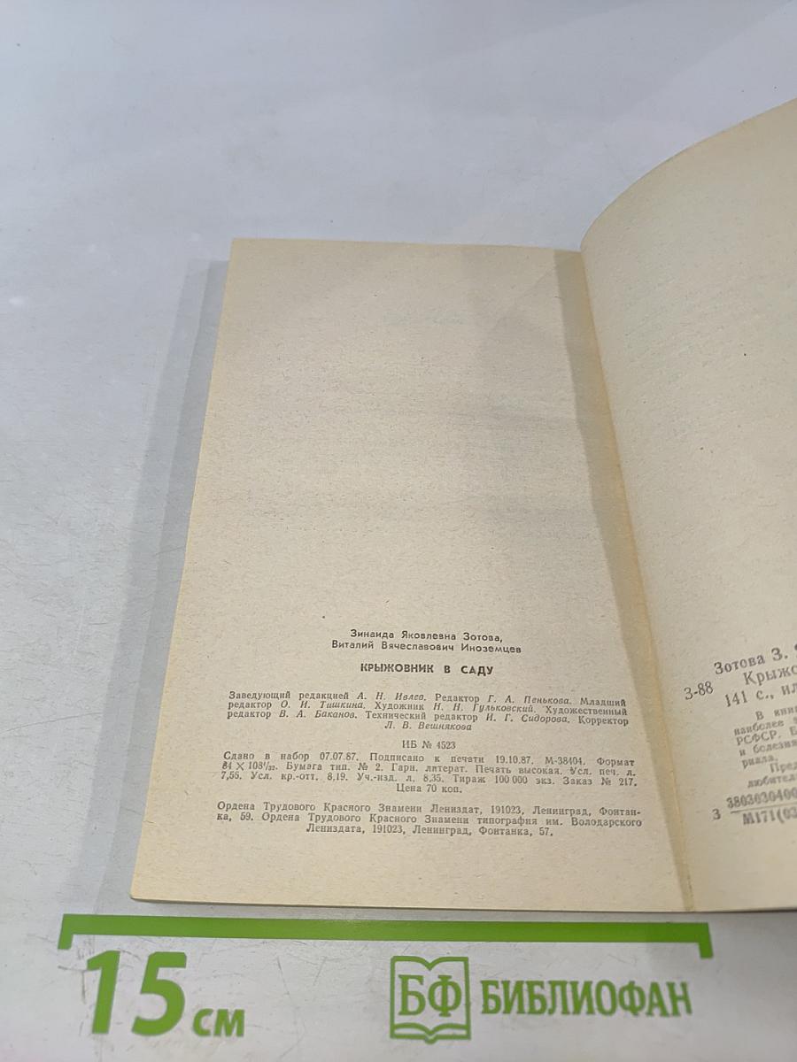 Крыжовник в саду