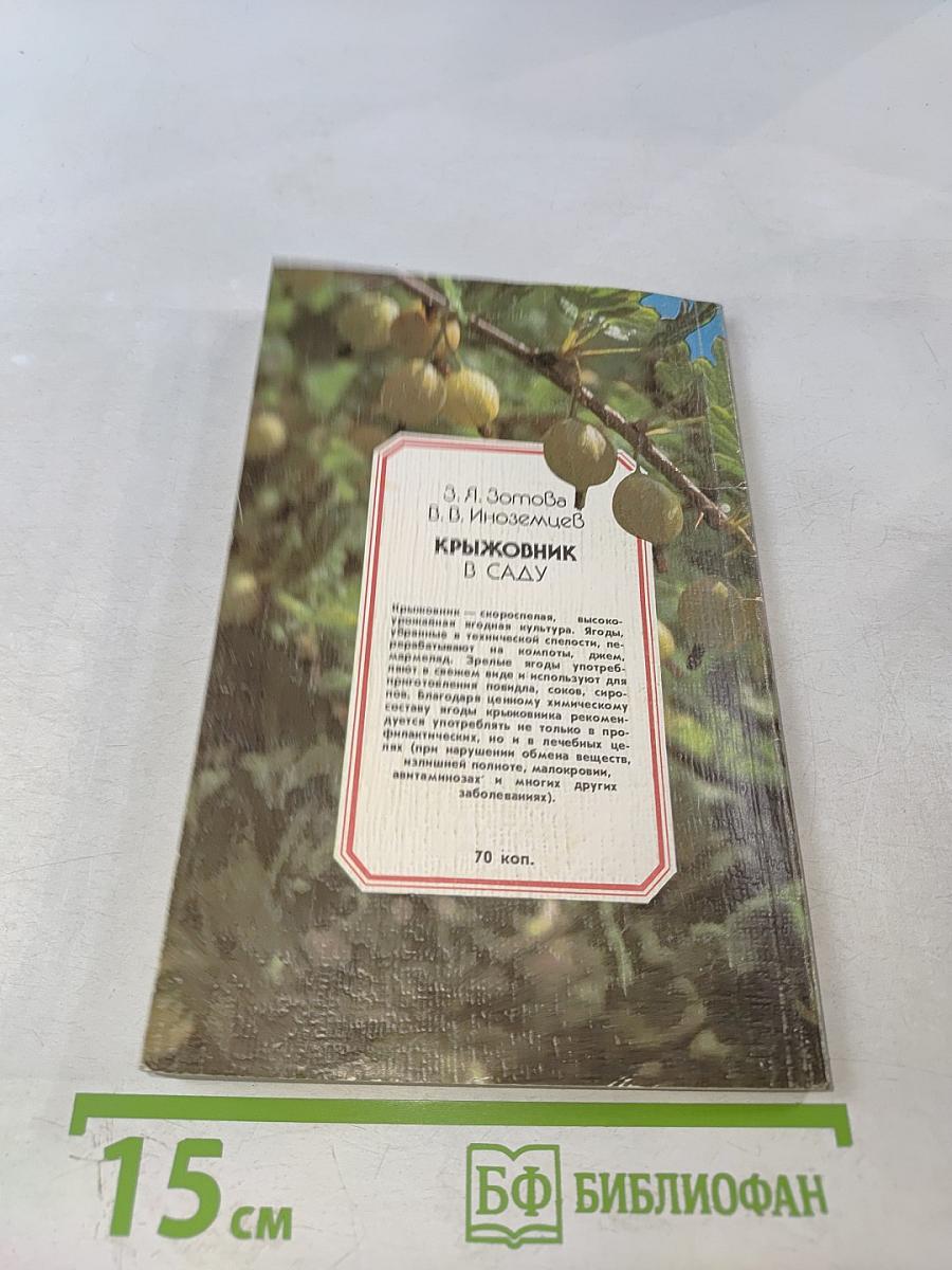 Крыжовник в саду