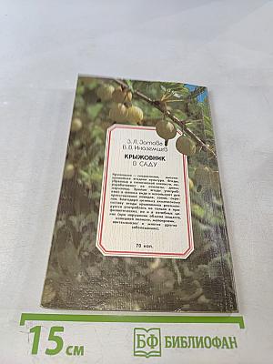 Крыжовник в саду