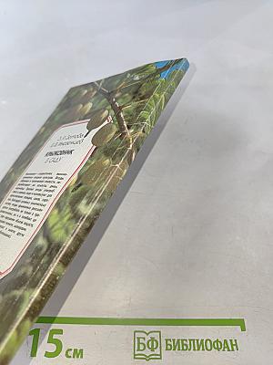 Крыжовник в саду