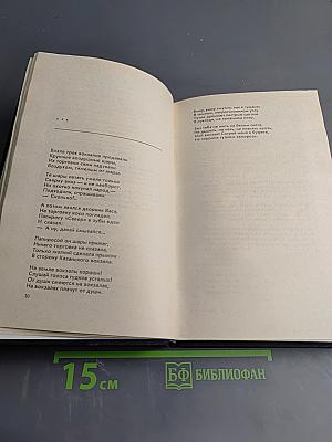 Избранные произведения. Том второй. Стихи. Переводы