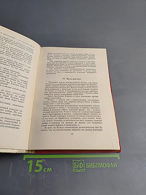 Железный поток