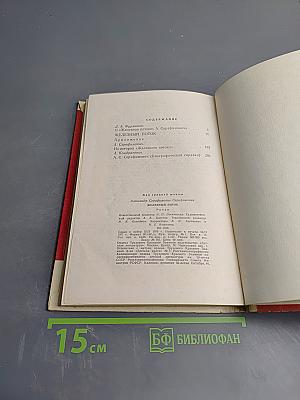 Железный поток