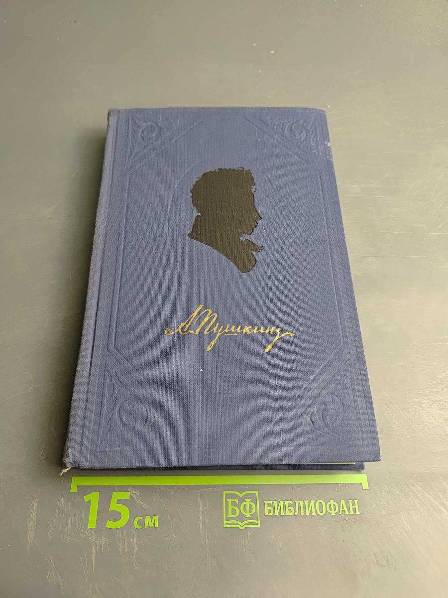 Полное собрание сочинений. Том 5. Критика и публицистика