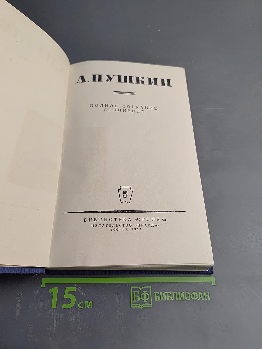 Полное собрание сочинений. Том 5. Критика и публицистика