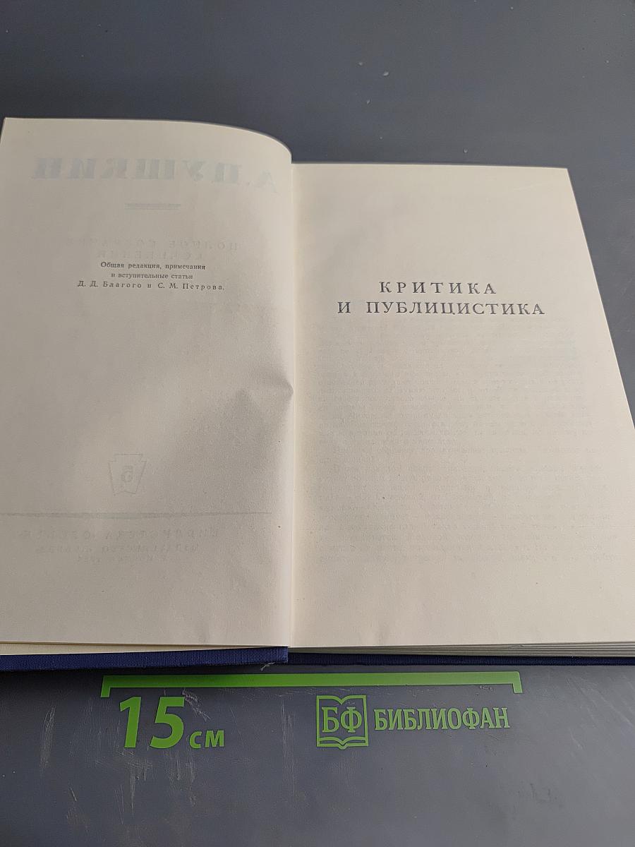 Полное собрание сочинений. Том 5. Критика и публицистика