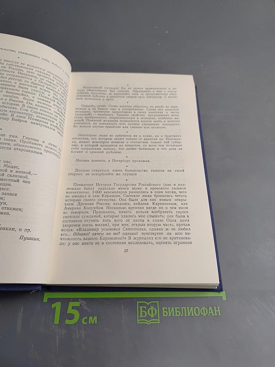 Полное собрание сочинений. Том 5. Критика и публицистика