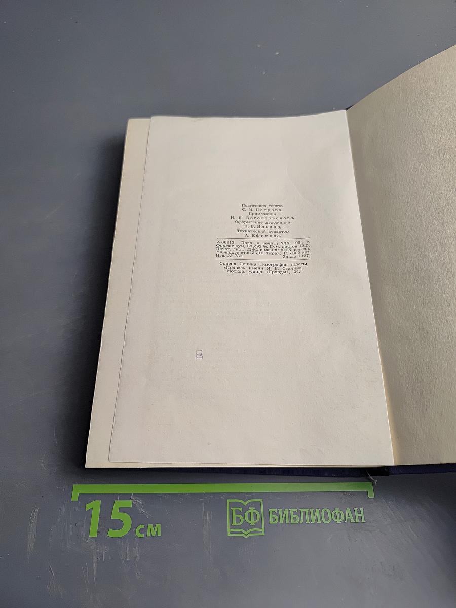 Полное собрание сочинений. Том 5. Критика и публицистика