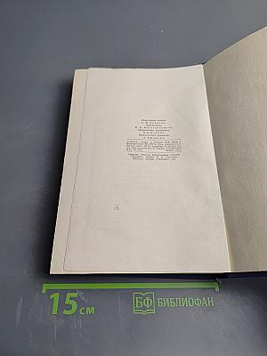 Полное собрание сочинений. Том 5. Критика и публицистика