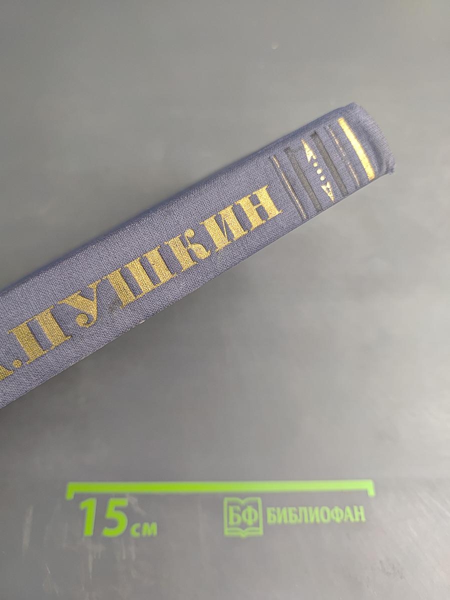 Полное собрание сочинений. Том 5. Критика и публицистика