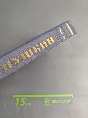 Полное собрание сочинений. Том 5. Критика и публицистика