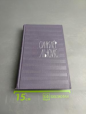 Энн Виккерс