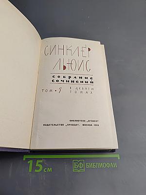 Энн Виккерс