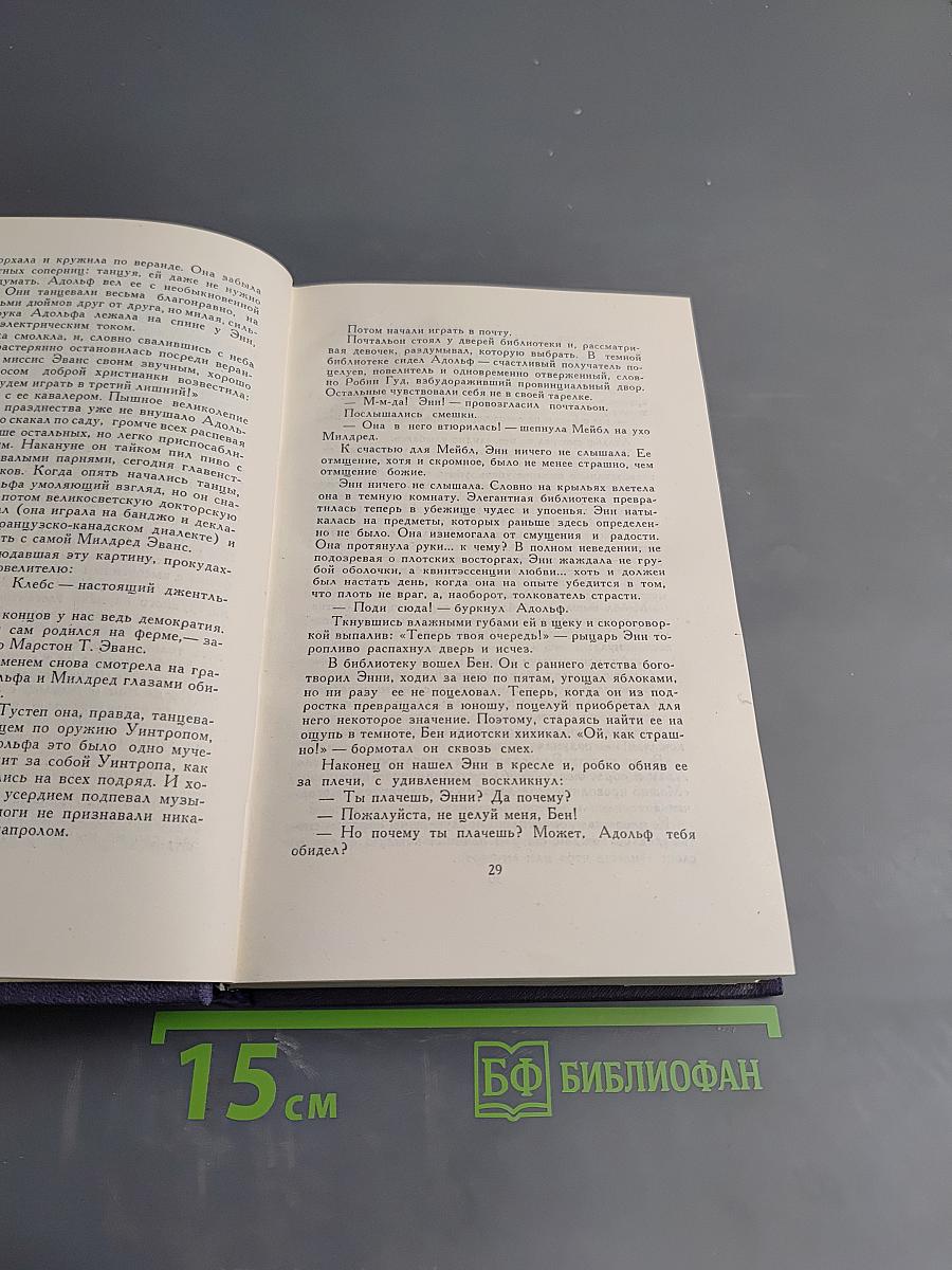 Энн Виккерс