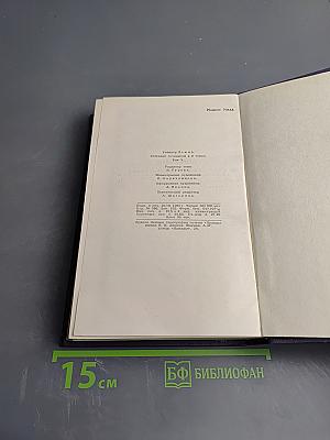 Энн Виккерс