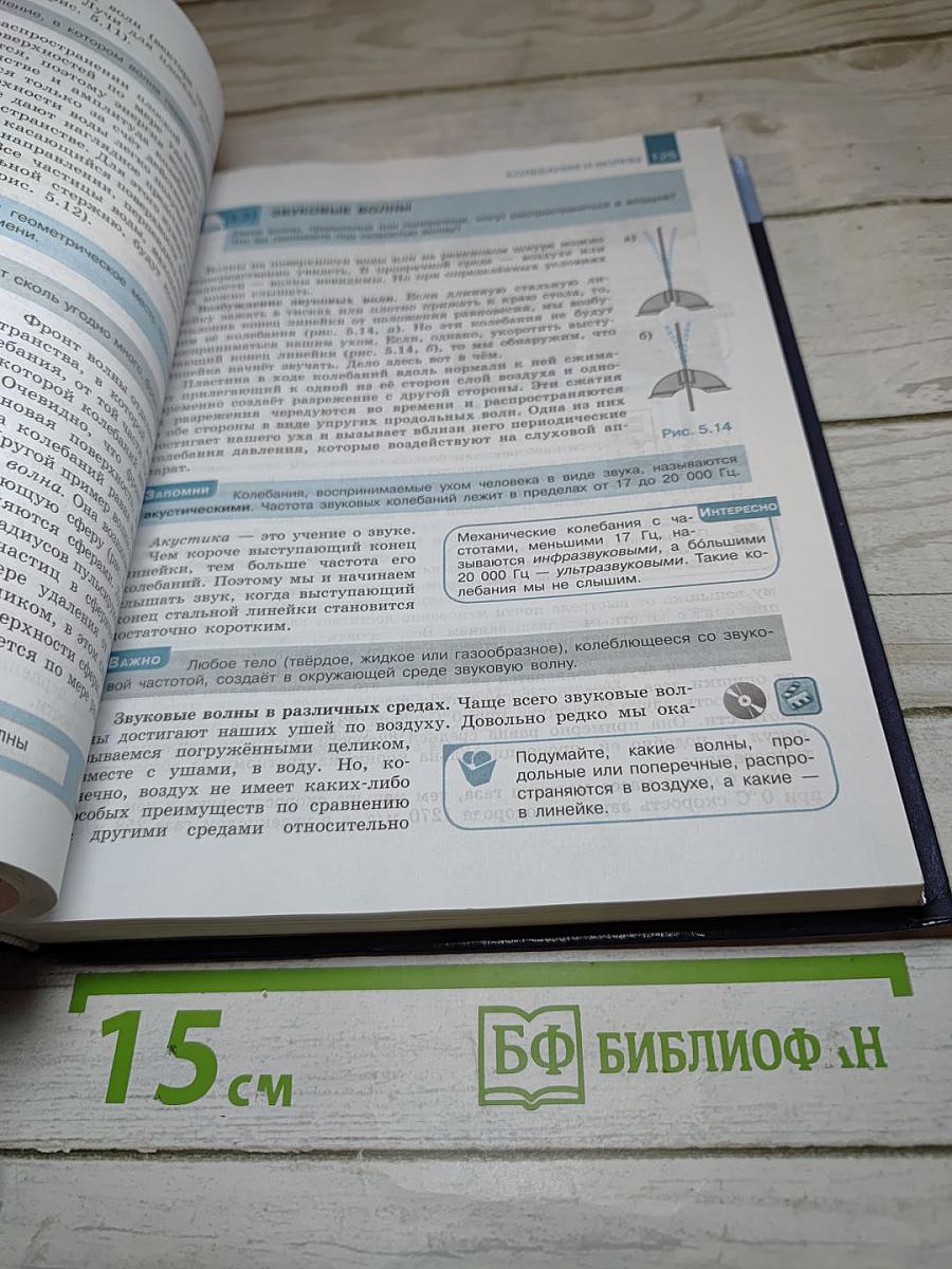 Физика 11 класс. Базовый и углублённый уровни