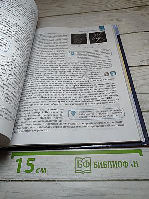 Физика 11 класс. Базовый и углублённый уровни