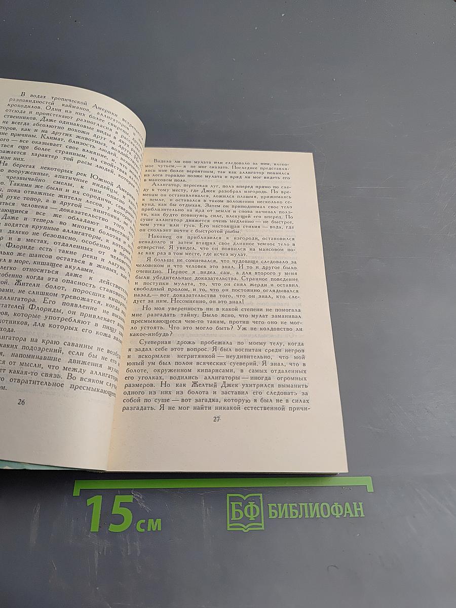 Оцеола, вождь семинолов