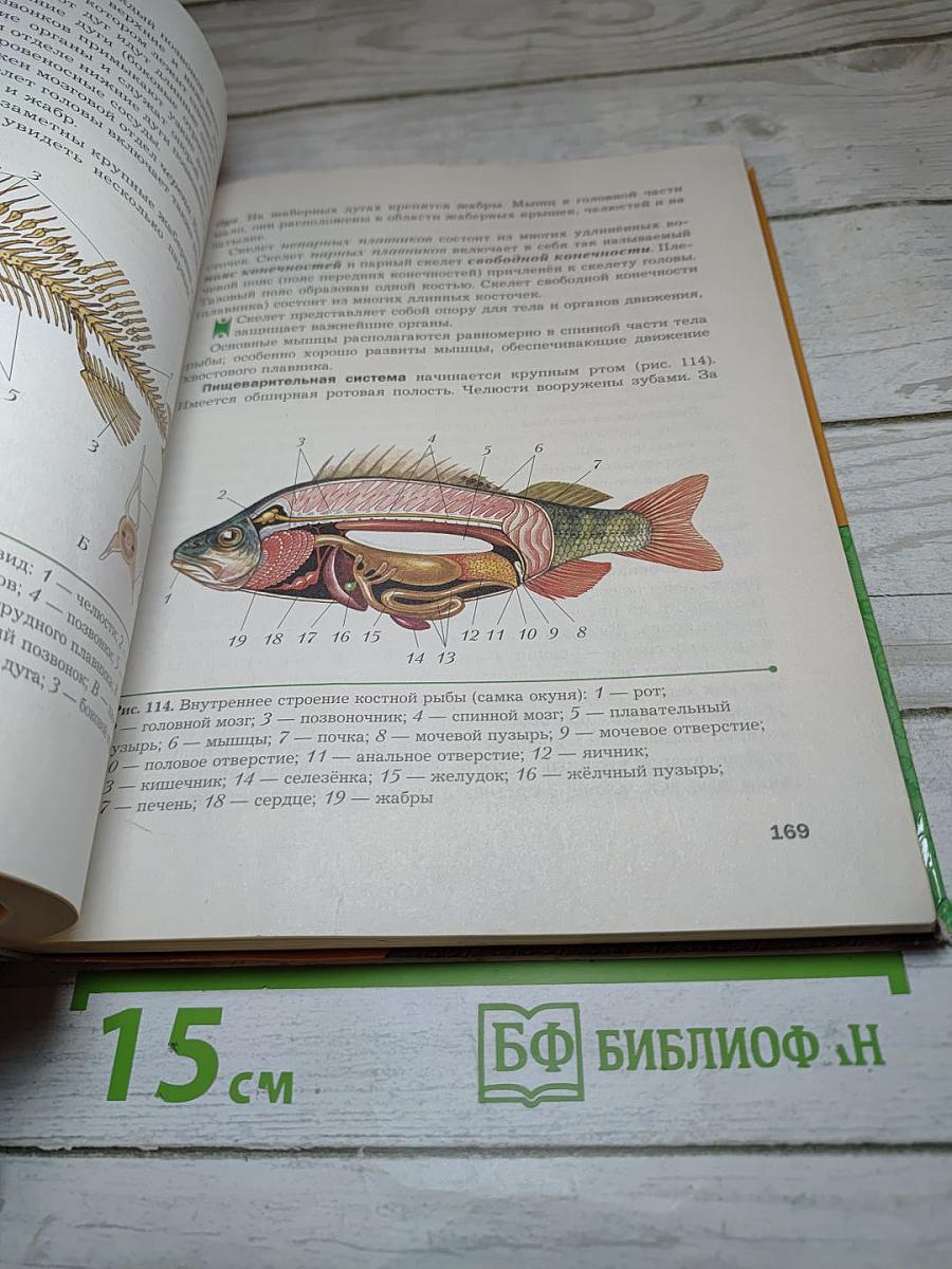 Биология. 8 класс