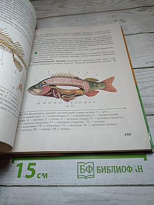 Биология. 8 класс