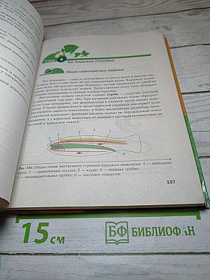 Биология. 8 класс
