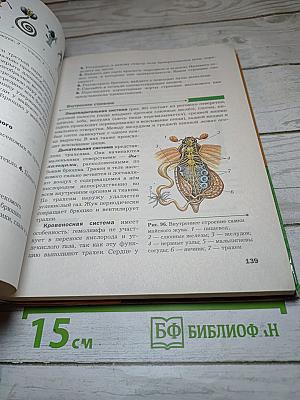 Биология. 8 класс