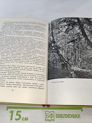 На родине И. С. Тургенева