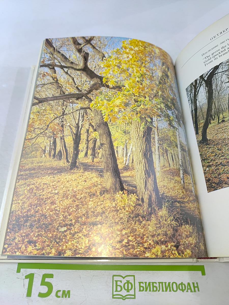 Обитель дальняя трудов. Болдино