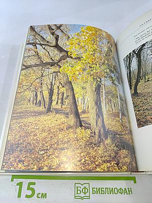 Обитель дальняя трудов. Болдино