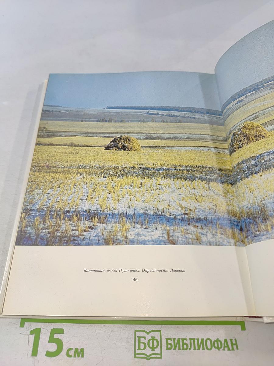 Обитель дальняя трудов. Болдино