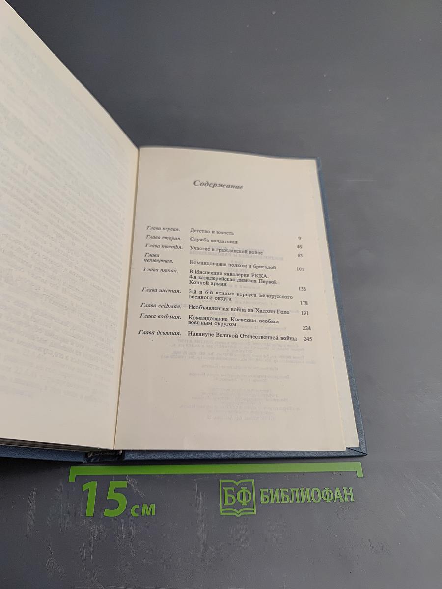 Воспоминания и размышления. Том 1