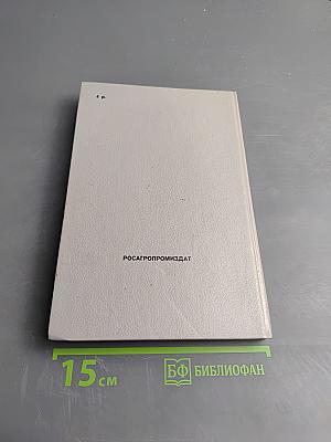 Современный усадебный дом