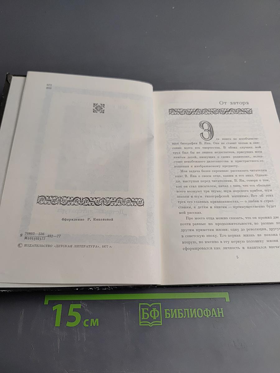 Писатель-историк В.ЯН. Очерк творчества