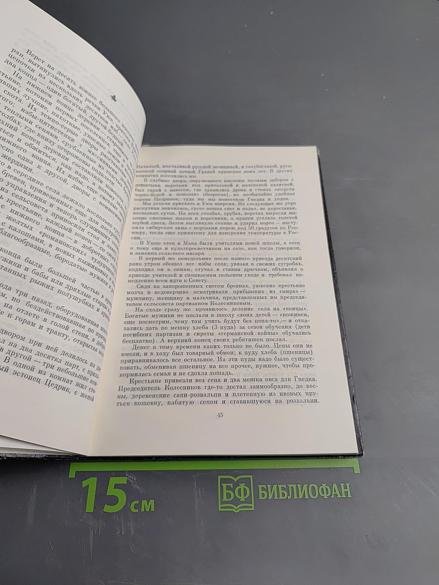 Писатель-историк В.ЯН. Очерк творчества