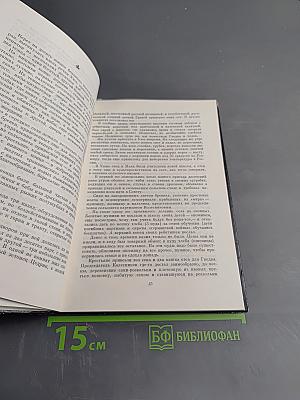 Писатель-историк В.ЯН. Очерк творчества